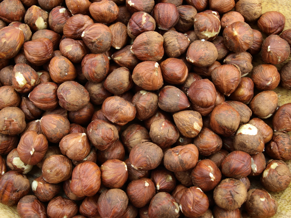 CORYLUS AVELLANA SHELL POWDER